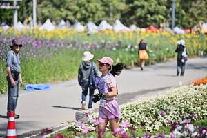 BIB: 
                            <button type="button" onclick="openModal(27793760)" class="btn btn-primary btn-sm float-right btn-popup" data-toggle="modal" data-target=".modal-high-quality">
                        <i class="fas fa-shopping-cart"></i> Add to Cart
                    </button>
                                            <button type="button" onclick="isThisMe(27793760, true)" class="btn btn-success btn-sm float-right btn-popup btn-isme hidden" data-toggle="tooltip" data-placement="bottom" title="นี่คือรูปของคุณใช่ไหม คลิกที่นี่เพื่อเอาเข้าอัลบั้ม">
                        <i class="fas fa-plus"></i> Add to album
                    </button>
                    <button type="button" onclick="isThisMe(27793760, false)" class="btn btn-warning btn-sm float-right btn-popup btn-isnotme hidden">
                        <i class="fas fa-ban"></i> Remove from album
                    </button>